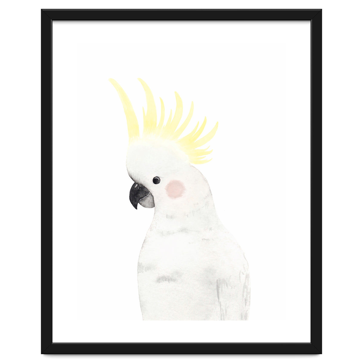 Sweet Cockatoo