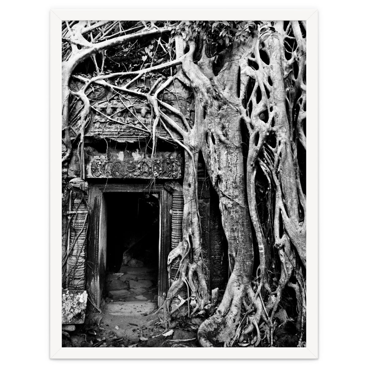Ta Prohm Temple, Cambodia