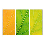 Autumn Leaves (Print Only) thumbnail