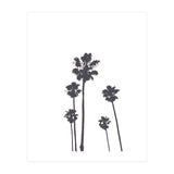Palms & Sunset-Minimal B&W 2 (Print Only) thumbnail