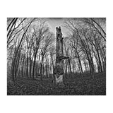 Circle of Growth and decay  (Print Only) thumbnail
