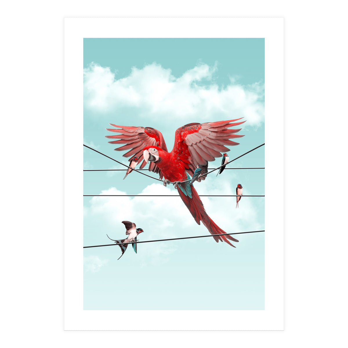 Colorful Stranger (Print Only)