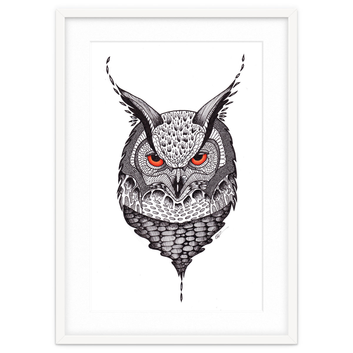 Owl