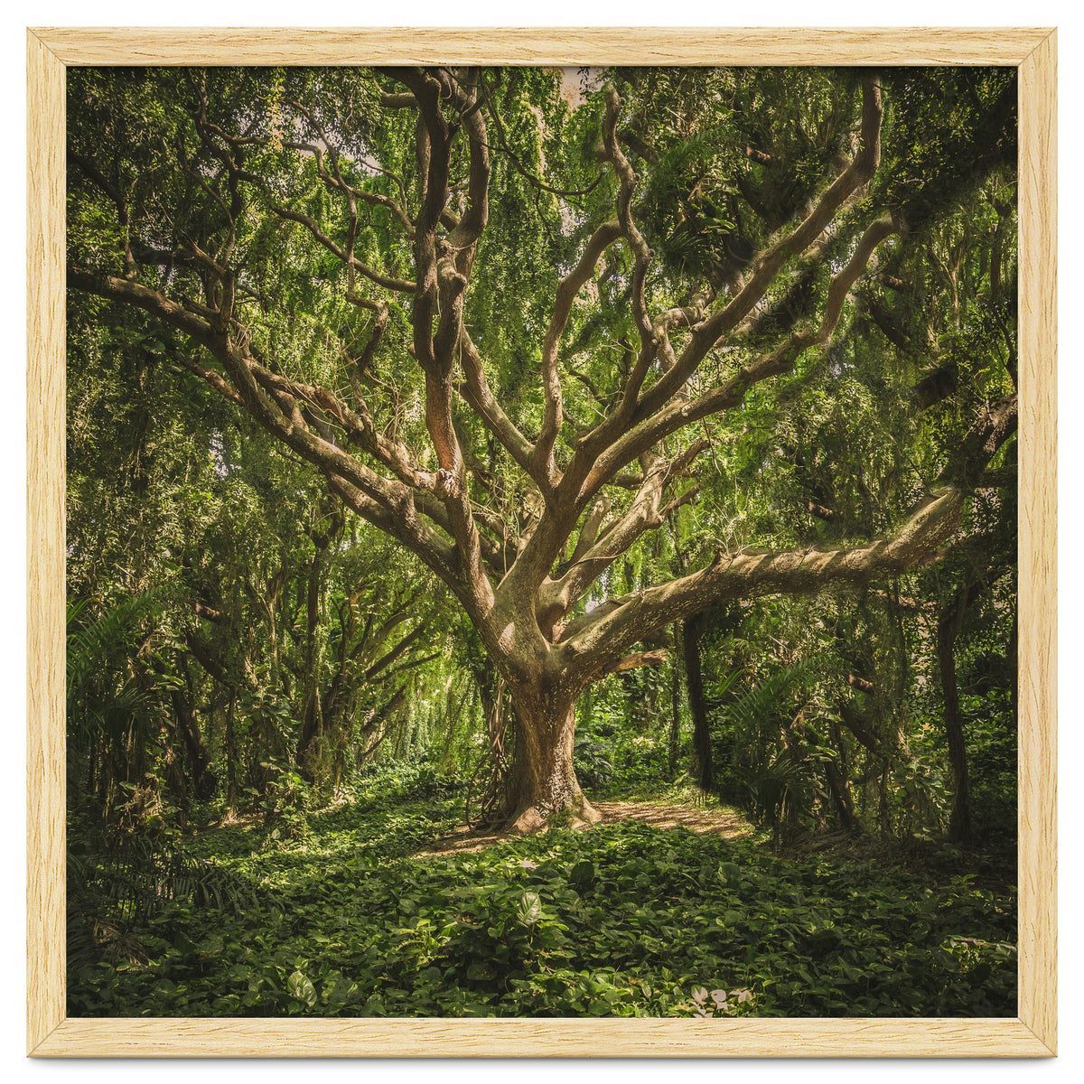 Spirits inside the wood