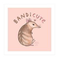 Bandicute (Print Only)
