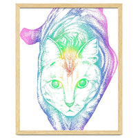 Rainbow Pastel Cat