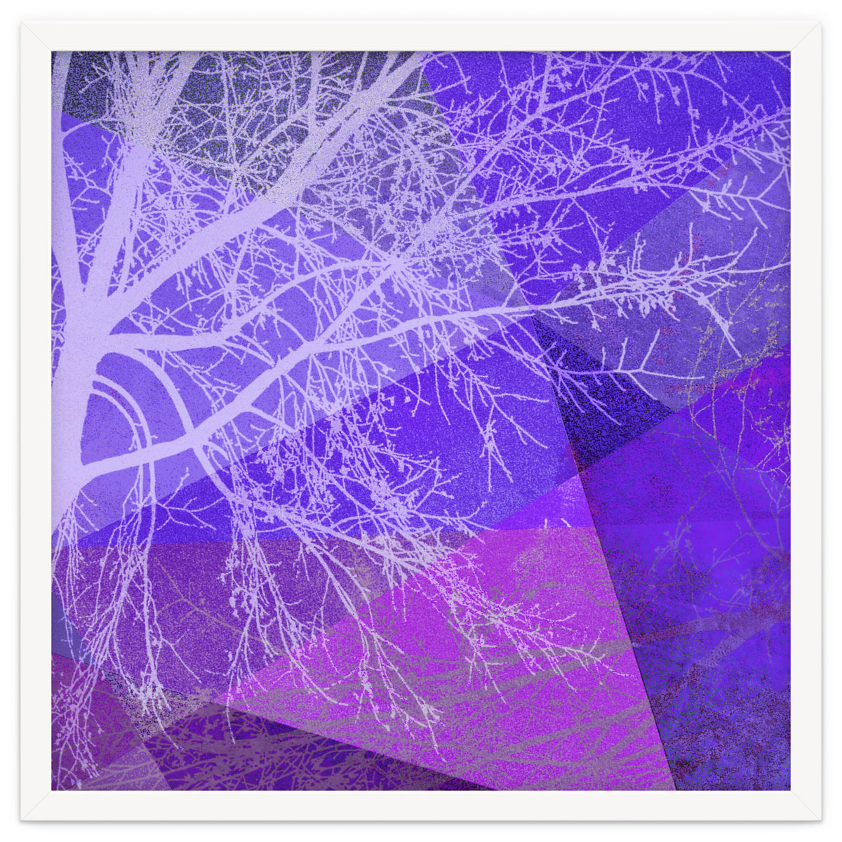 P19-D2 Trees and Triangles