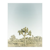 Vintage Joshua Tree  (Print Only)