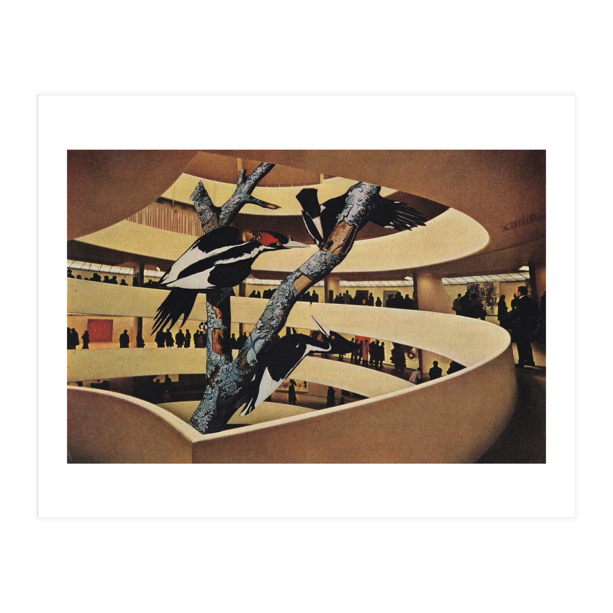 Art Museum (Print Only)