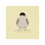 Blackcap 2 (Print Only) thumbnail
