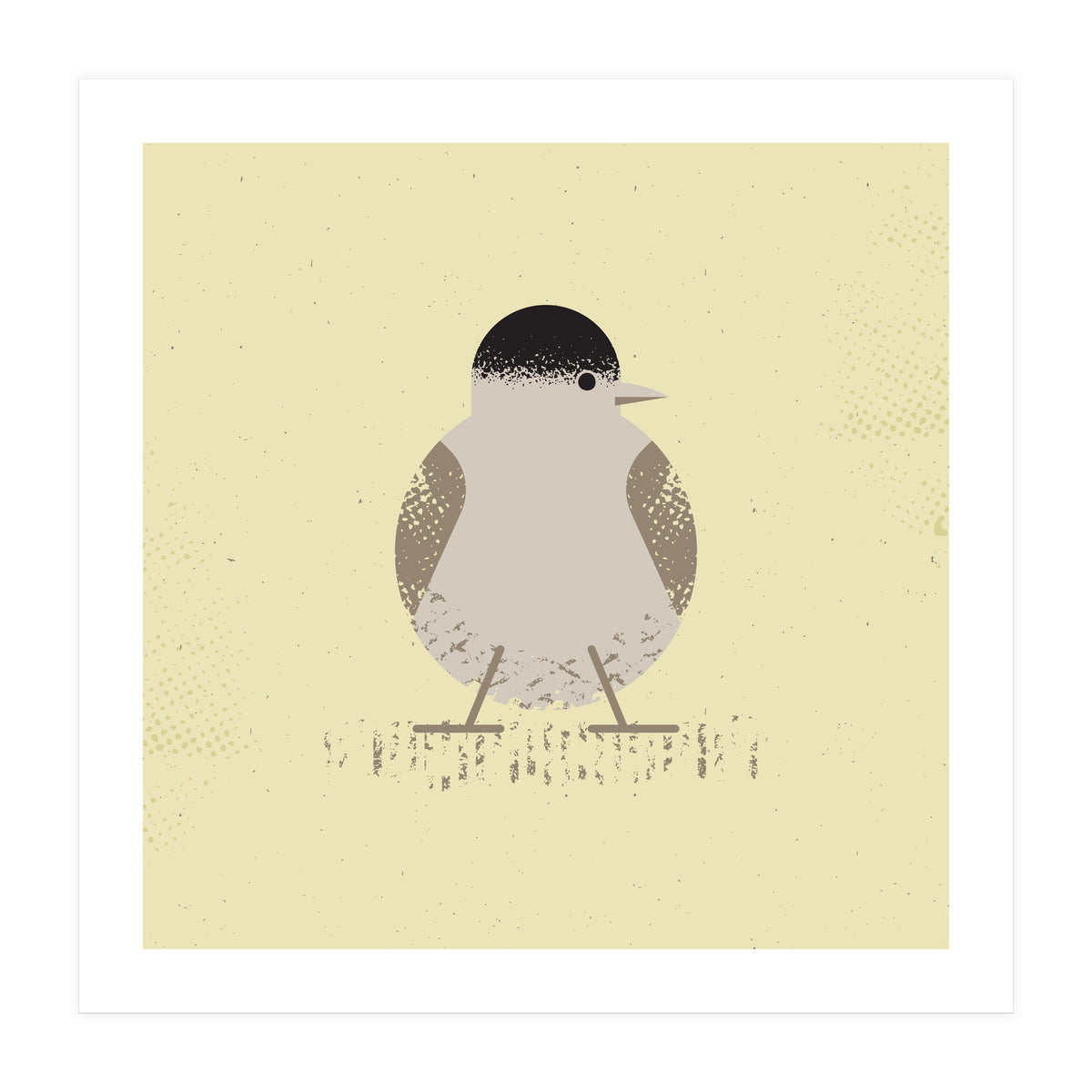 Blackcap 2 (Print Only)