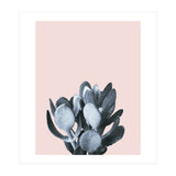 Cactus collection BL-II (Print Only) thumbnail