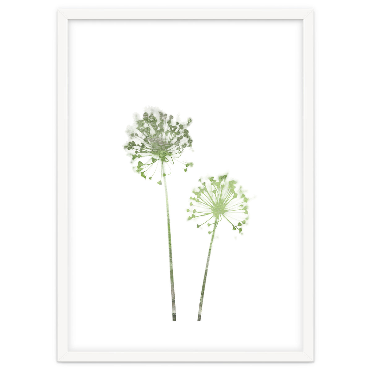 Olive Green Dandelion