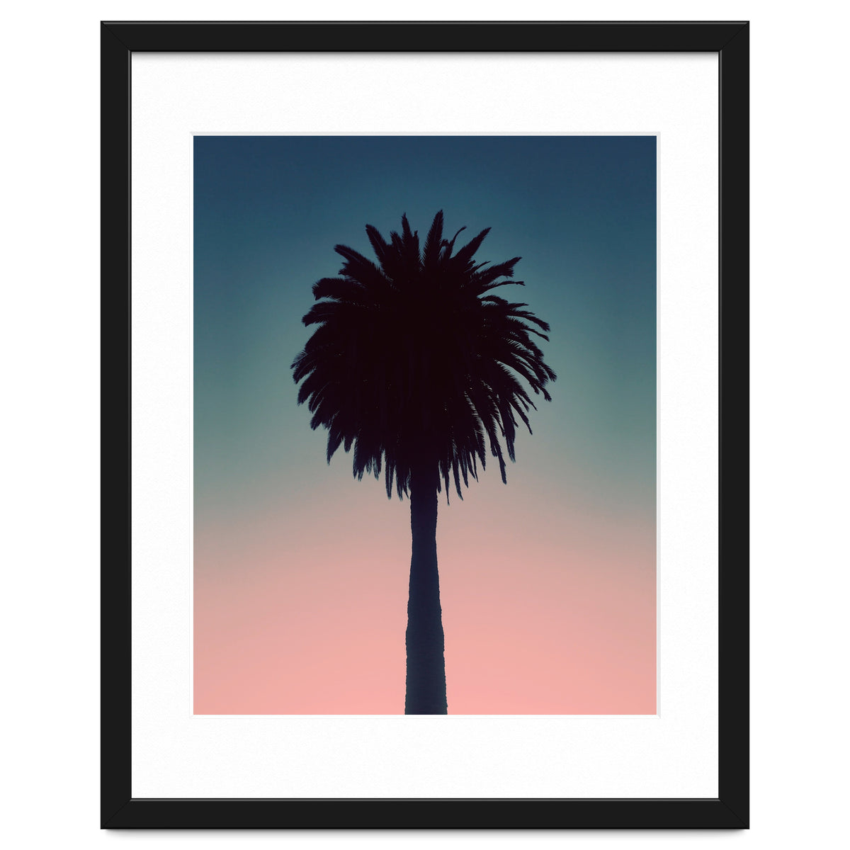 Sundown Palm
