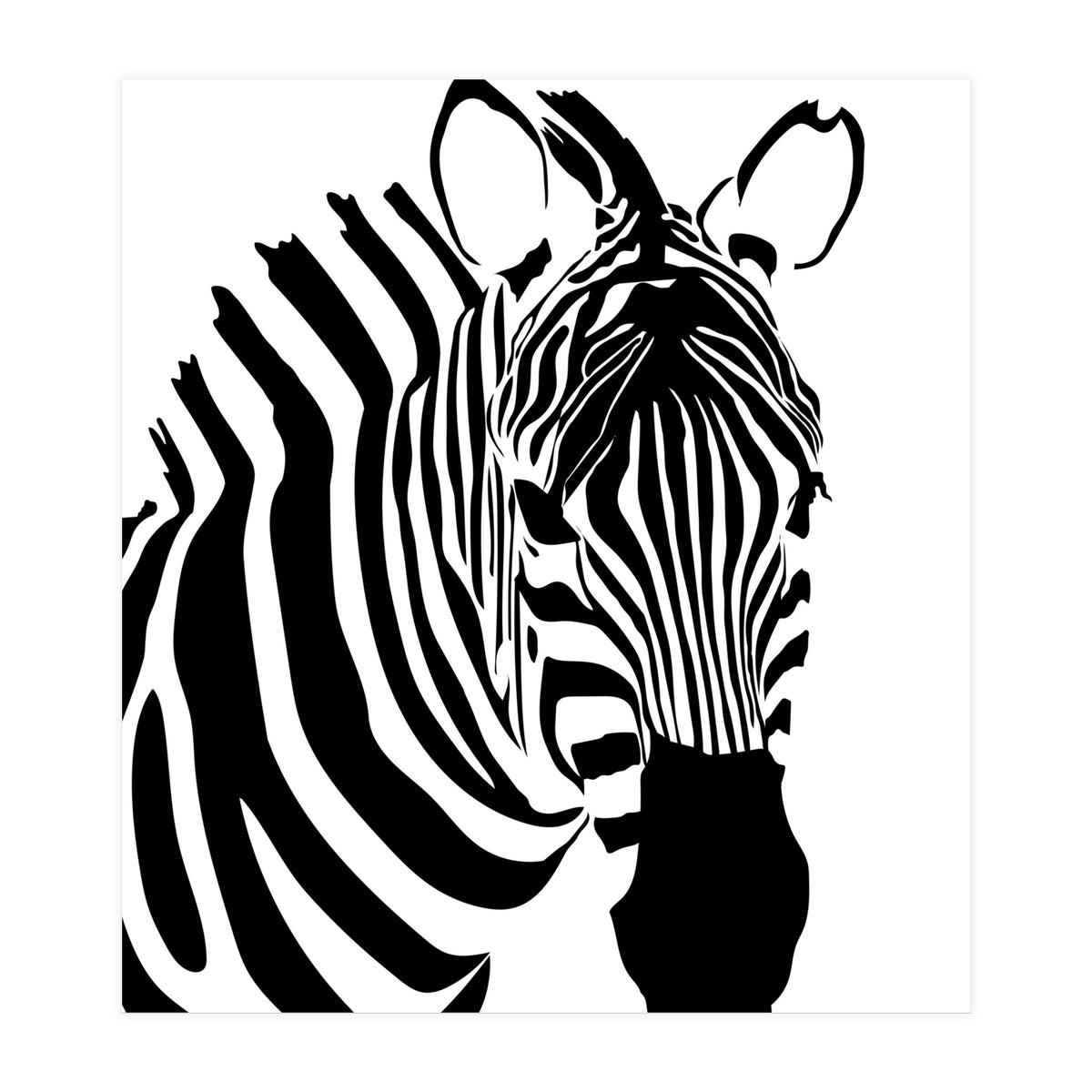 Zebra Stripe - Monochrome (Print Only)