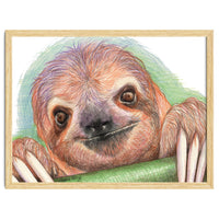 Smiling Sloth