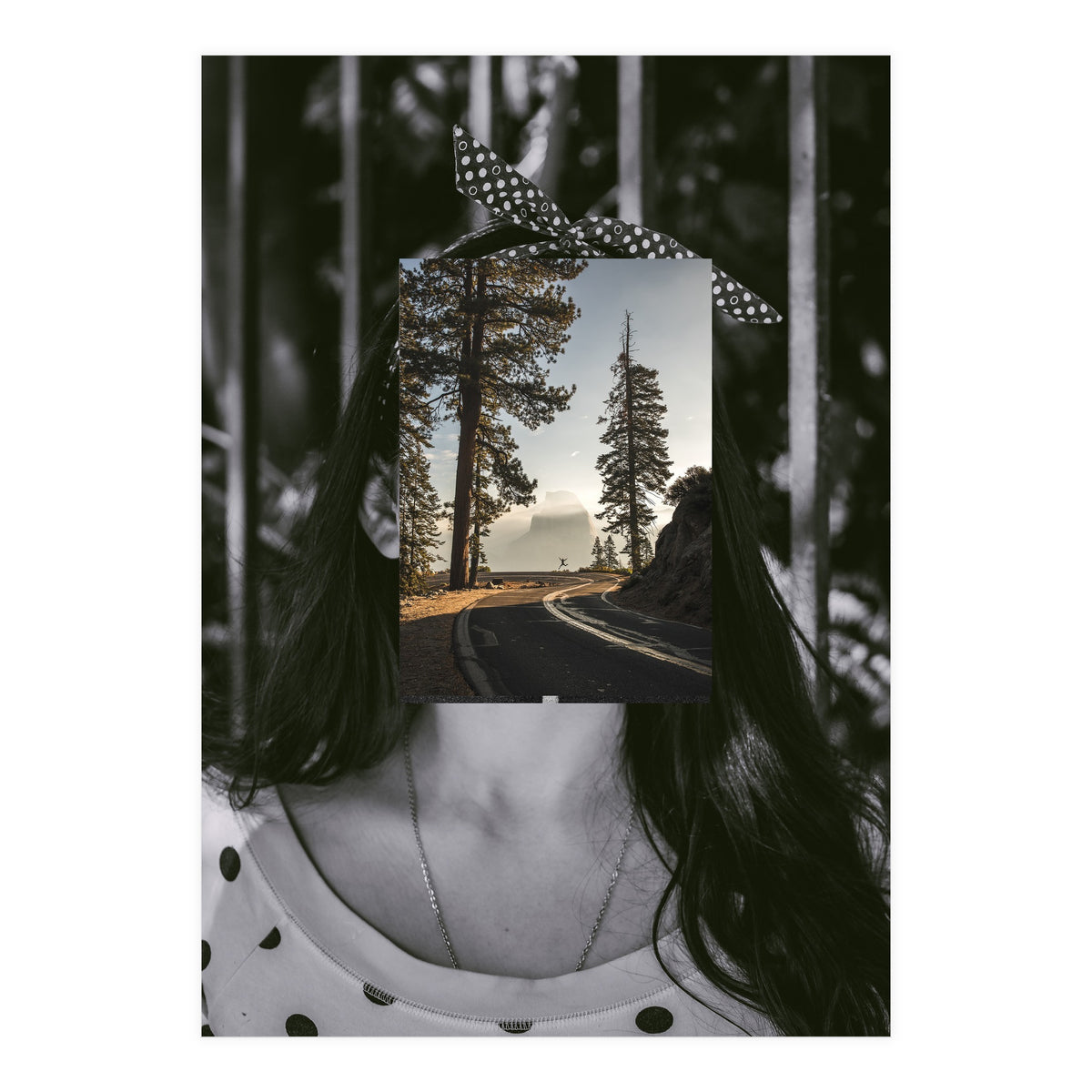 Silva Where Are You? (Print Only)