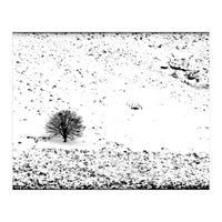 Somewhere There Is A Field, White And Quiet, Where A Tree Like This One Stands (Print Only)
