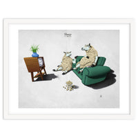 Sheep