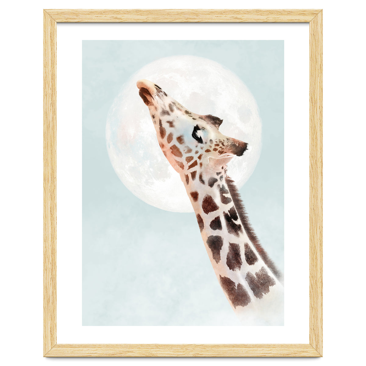 Giraffe And Moon