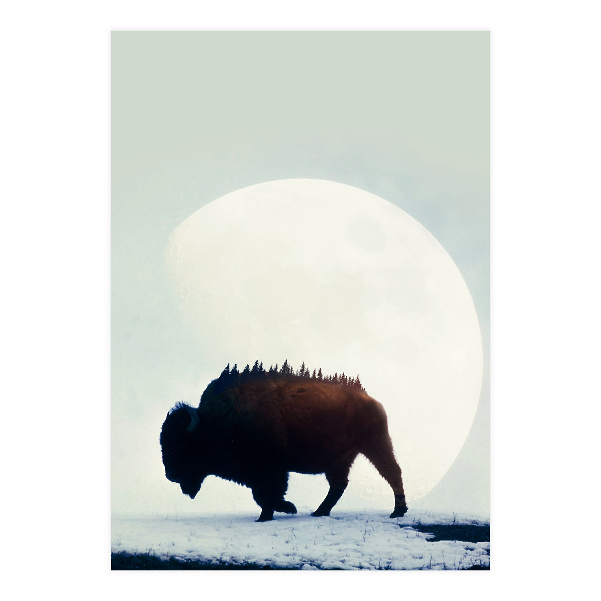 Wild West (Print Only)