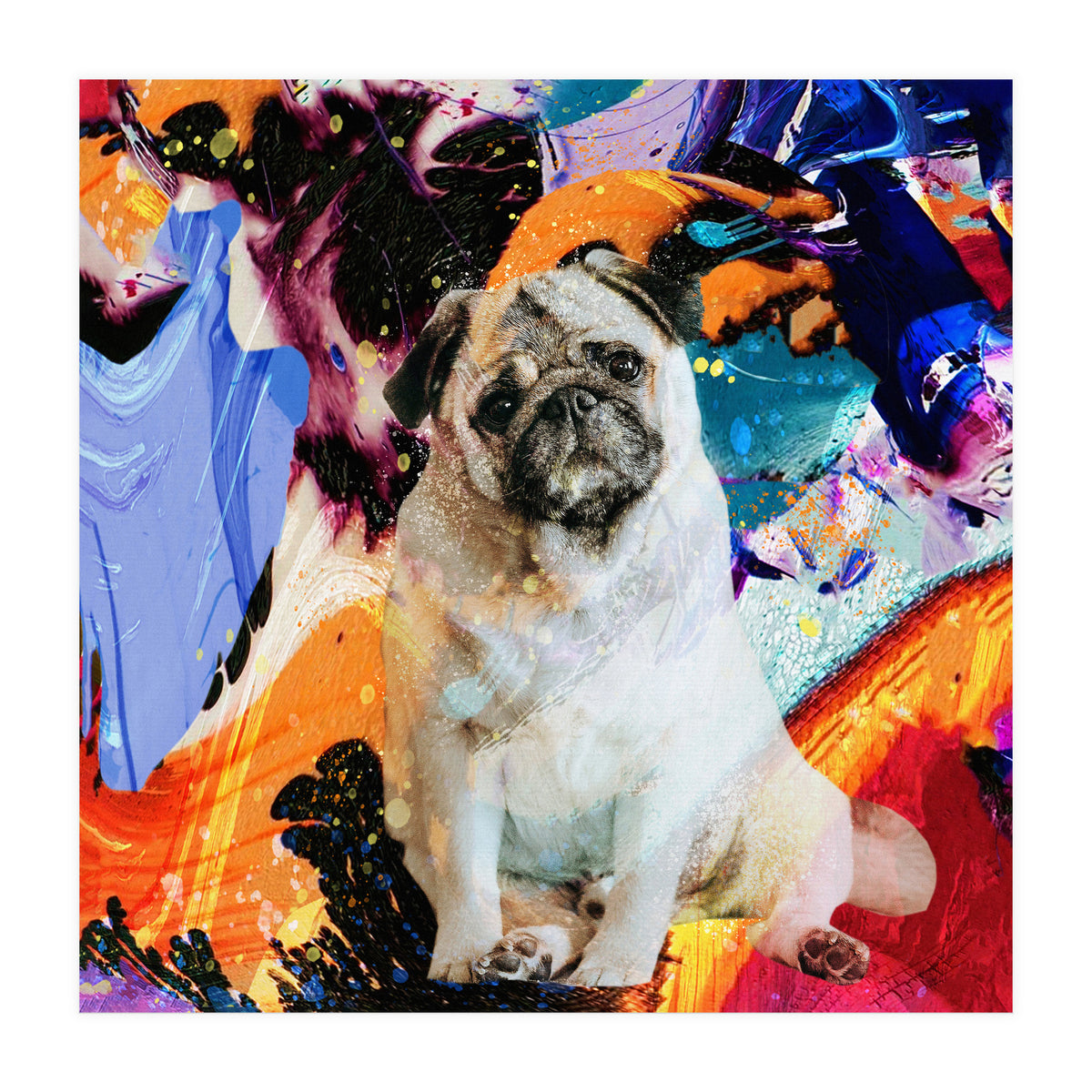 Zycko Color Dog 2 (Print Only)