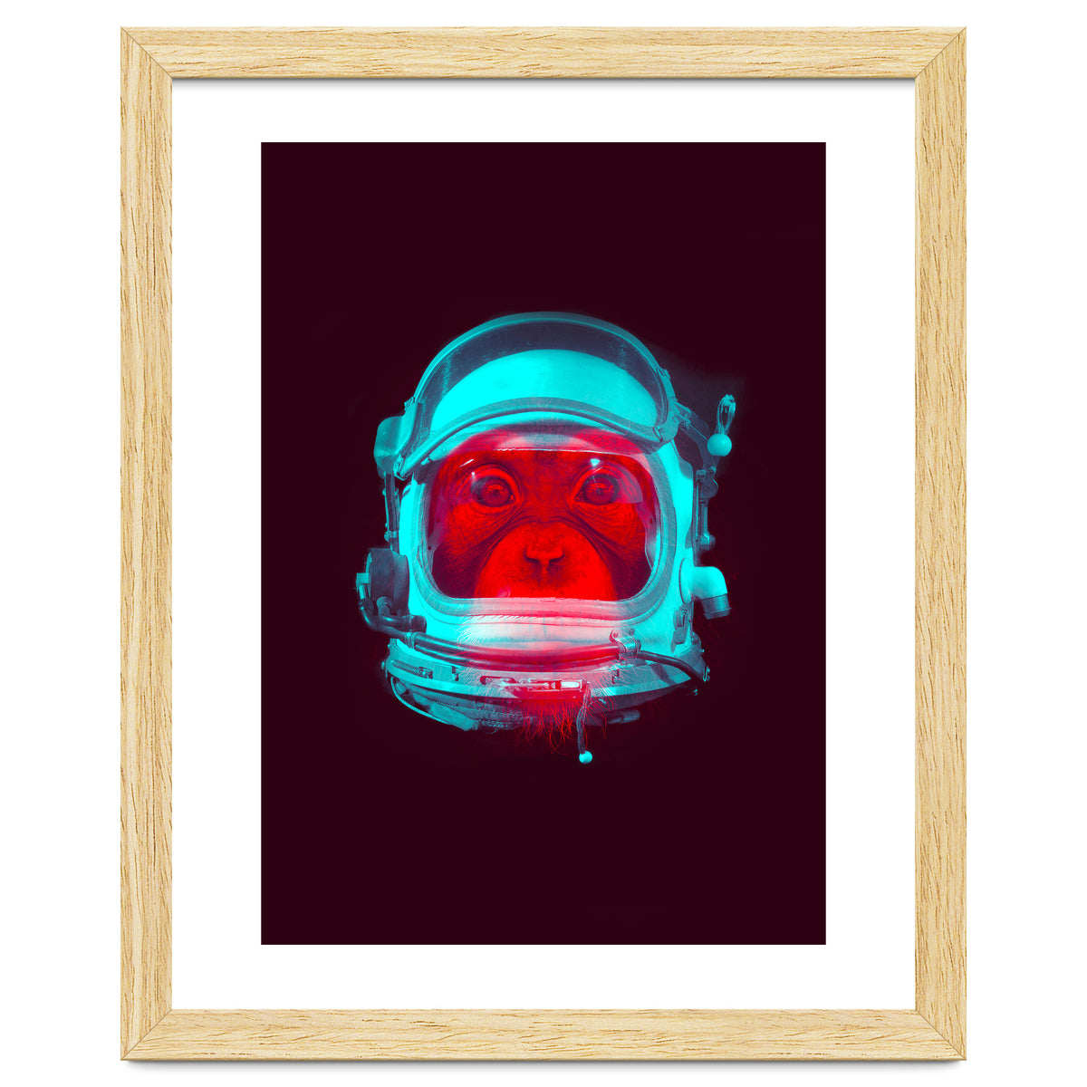 Astronaut