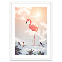 Flamingo & Friends