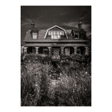 No 1444 Queen St E 2 (Print Only) thumbnail