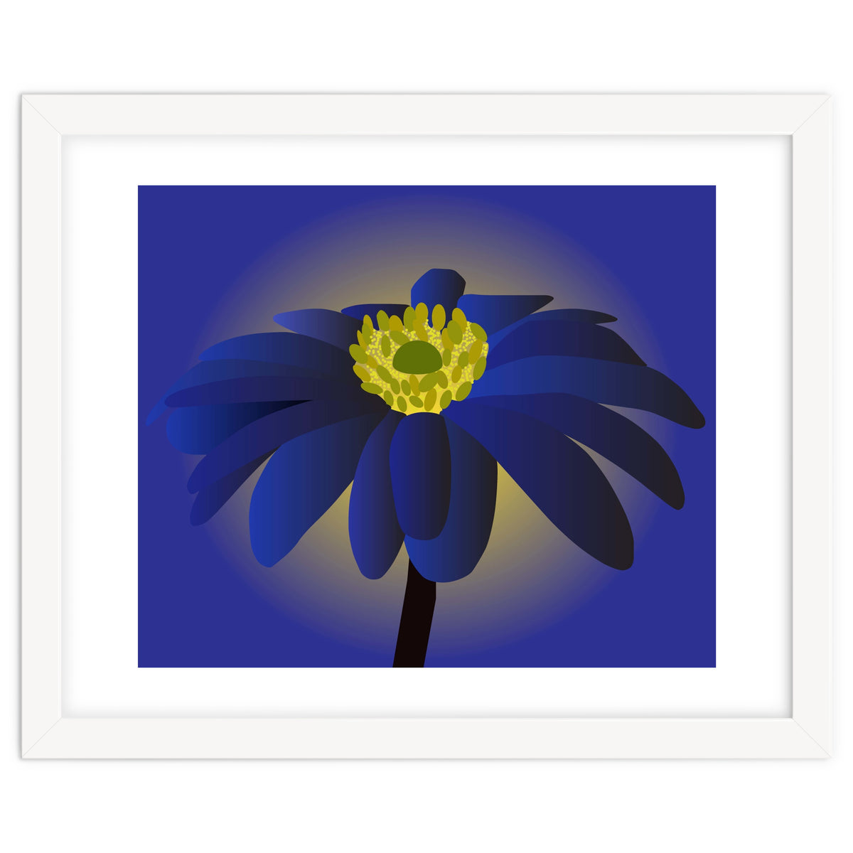 Anemone Blanda Flower Art