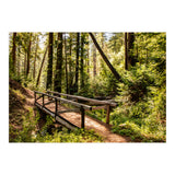 Ewoldsen Trail Bridge  (Print Only) thumbnail