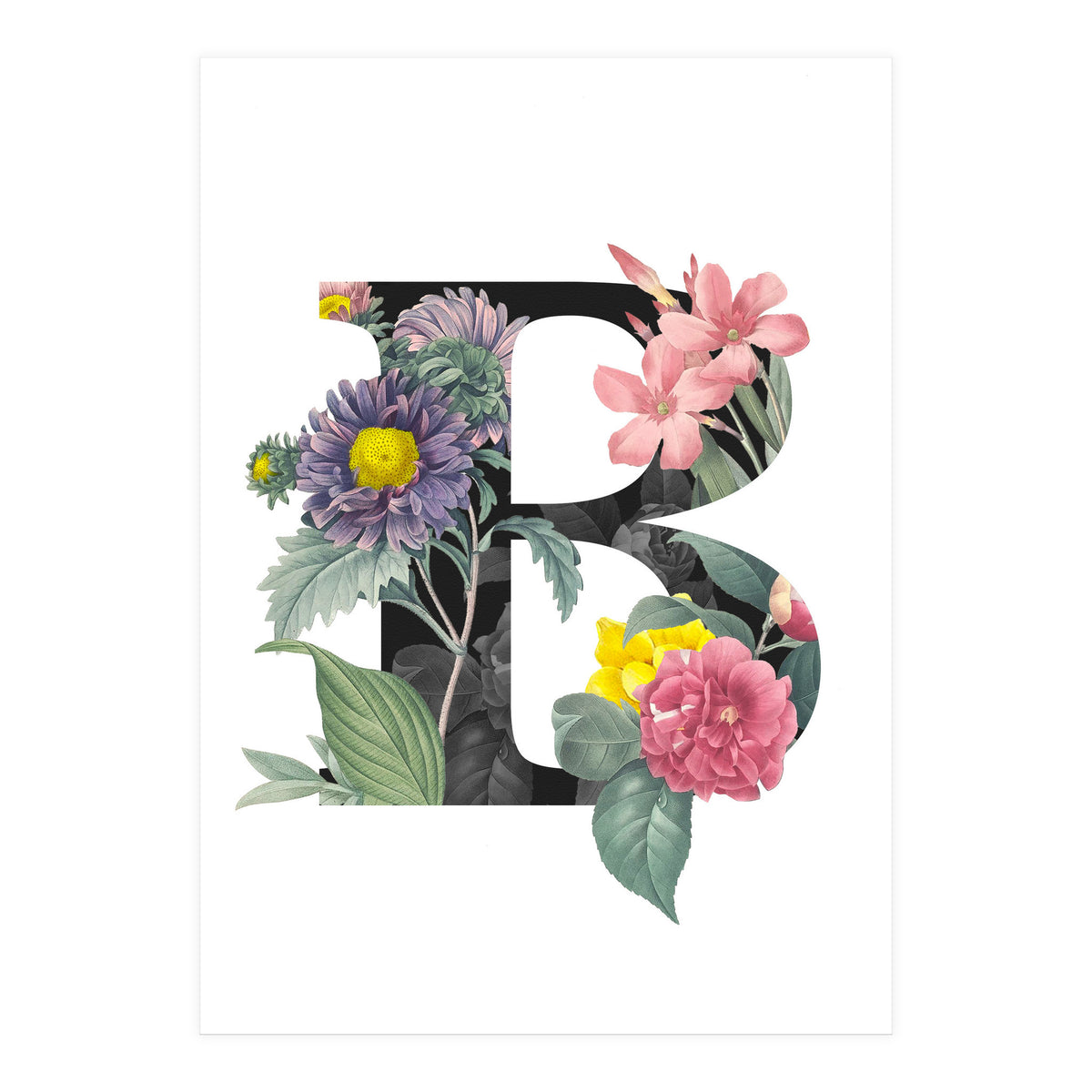 Letter B (Print Only)