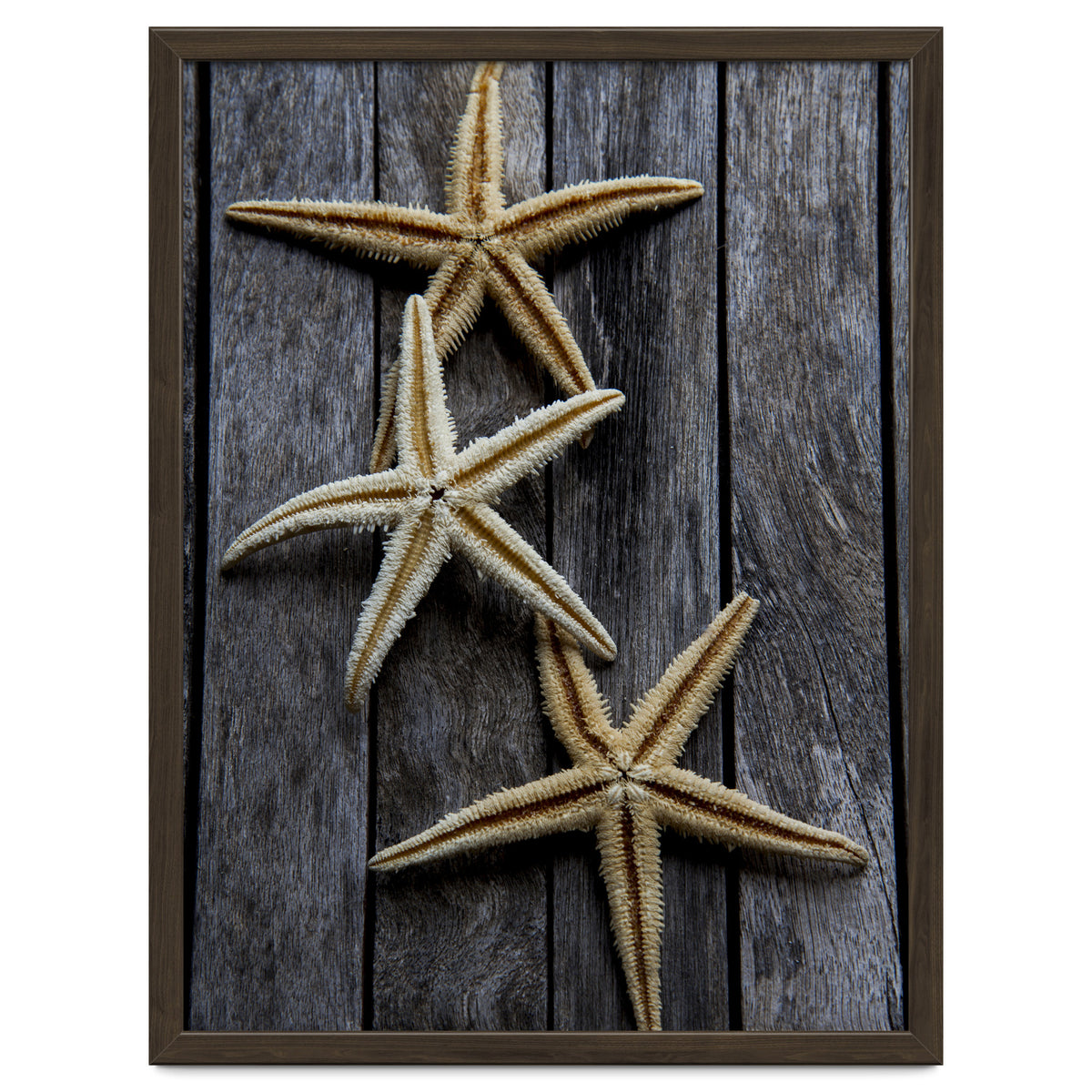 Starfishes in wooden