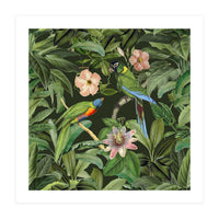 Exotic Jungle Birds (Print Only)