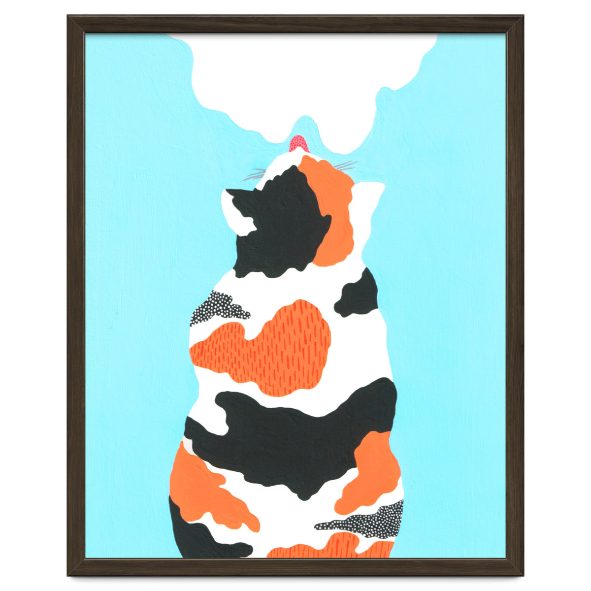 Tri Colored Calico Cat