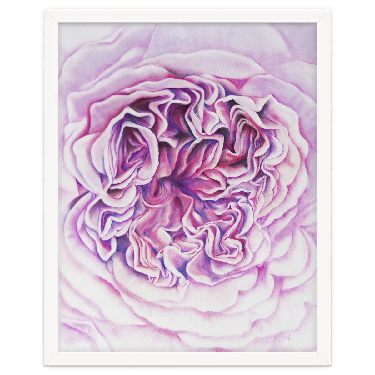 A Rose Is A Rose Std