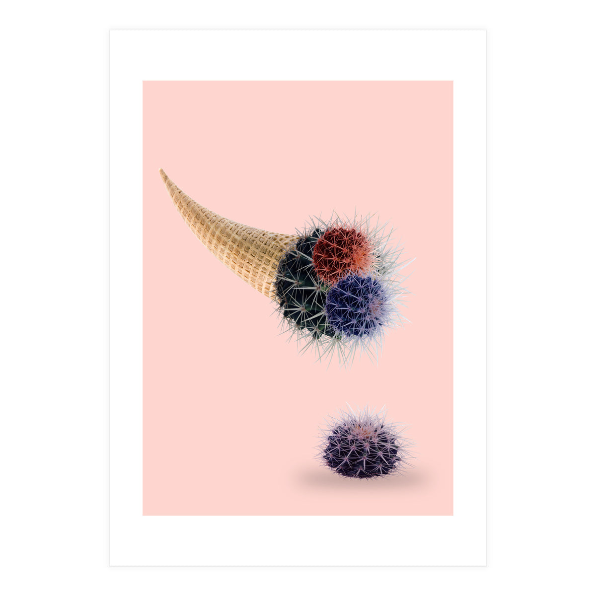Cactus Cream 50x70 (Print Only)