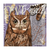 Screech Owl (Print Only) thumbnail