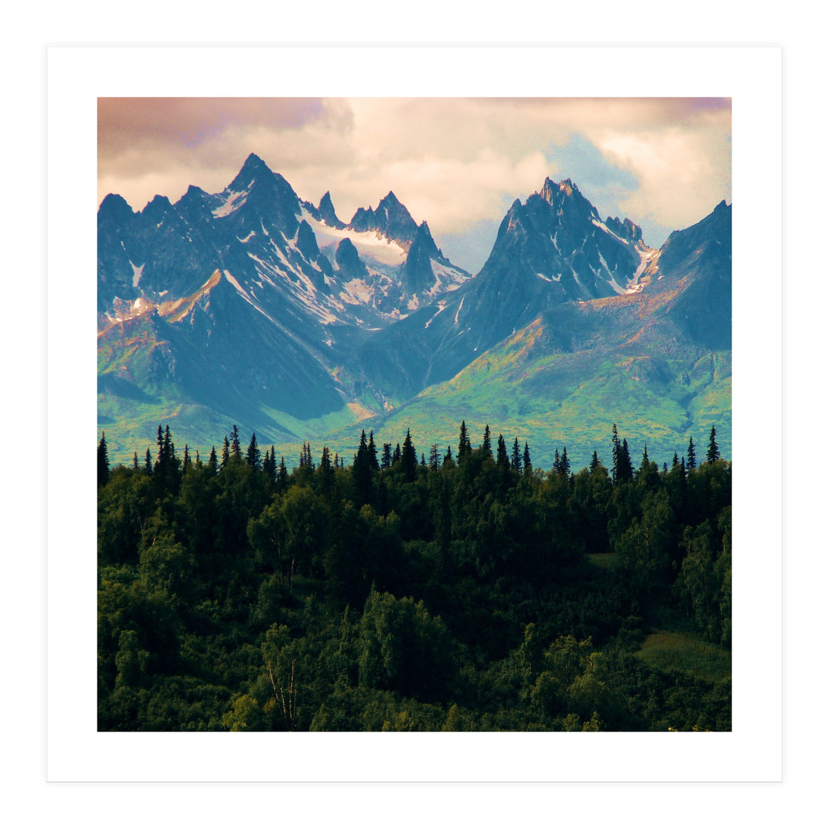 Escaping from woodland heights II (Print Only)