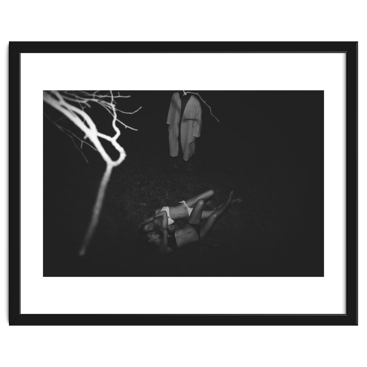 This is What it's Like to Live in a Tree House