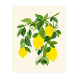 Sunny Lemons (Print Only) thumbnail