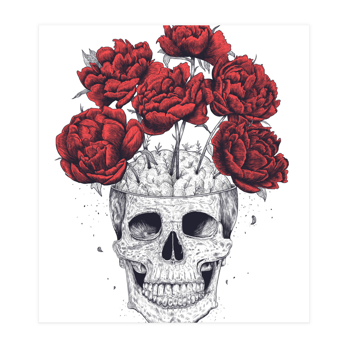 Skull With Peonies (Print Only)