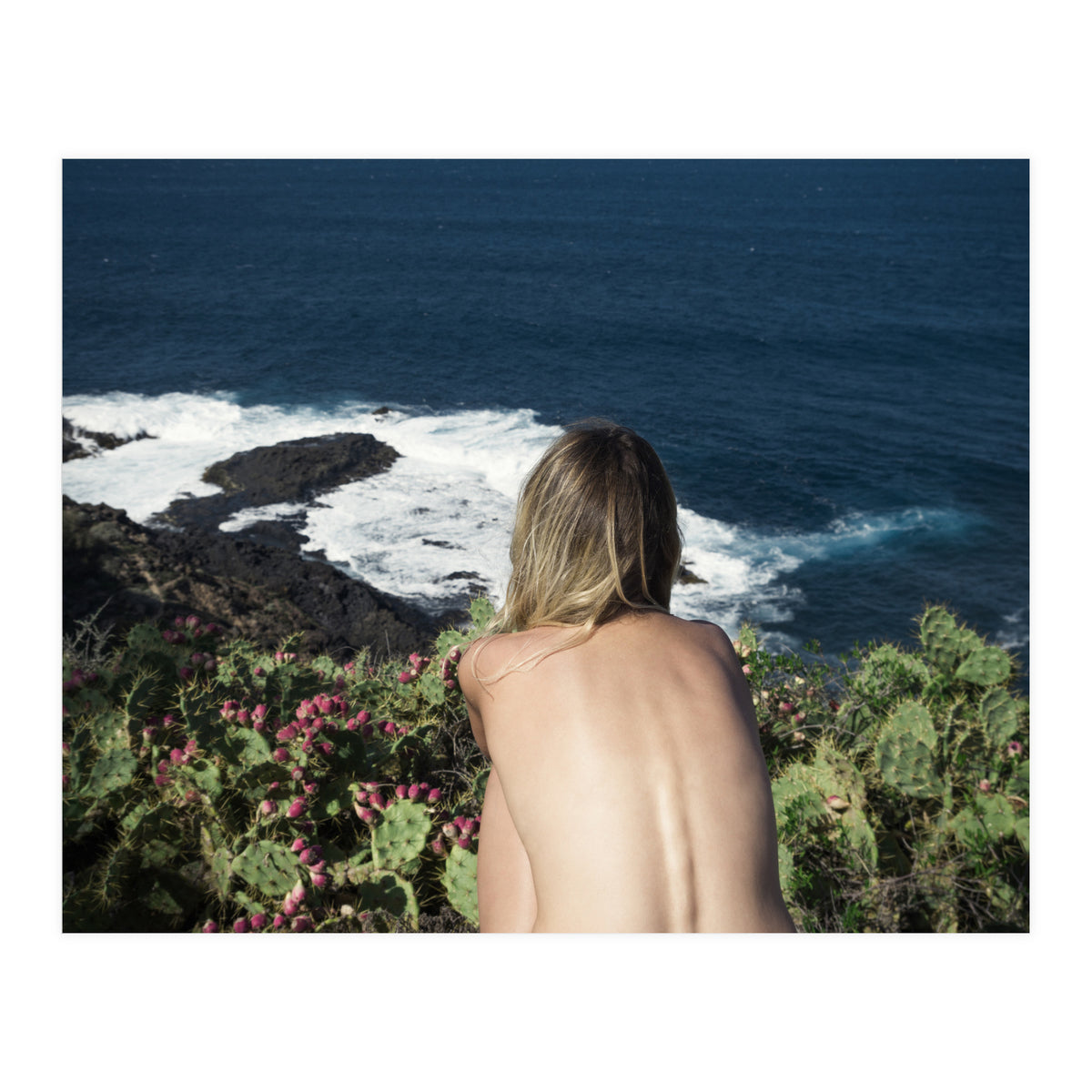 Delight (Print Only)