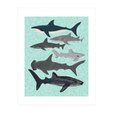 Sharks (Print Only) thumbnail