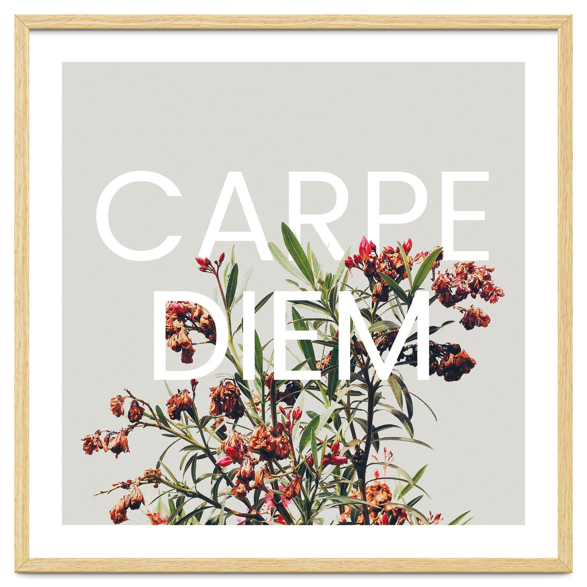 Carpe Diem