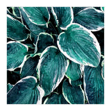 Sacred Edge (Print Only) thumbnail