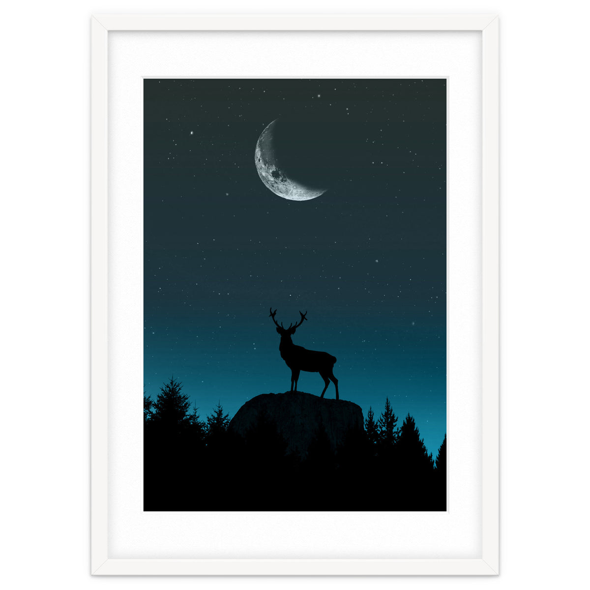 Wild Nature - Nocturne