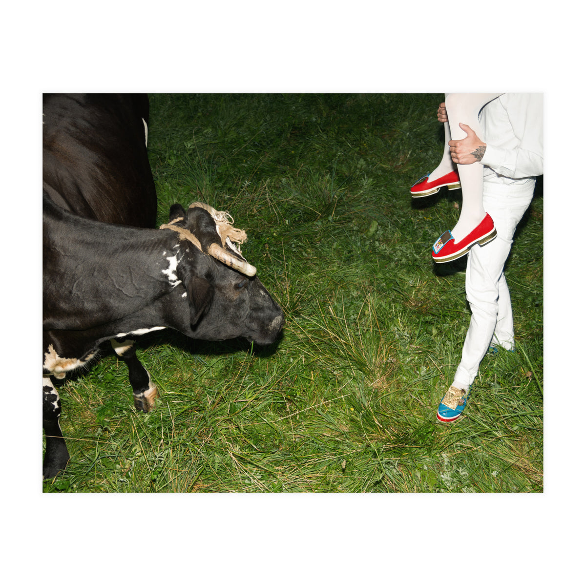 Moo means No (Print Only)