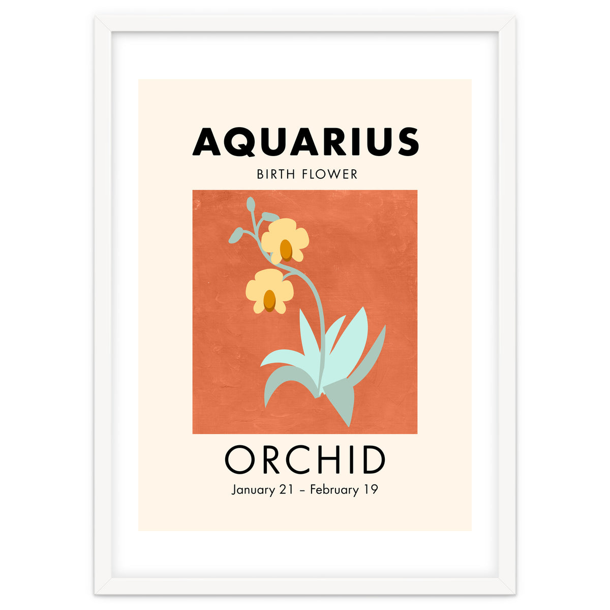 Aquarius Birth Flower Orchid