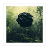 Blacks (Print Only) thumbnail